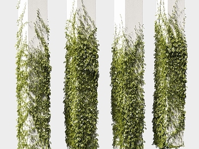 藤蔓 绿植藤蔓装饰墙