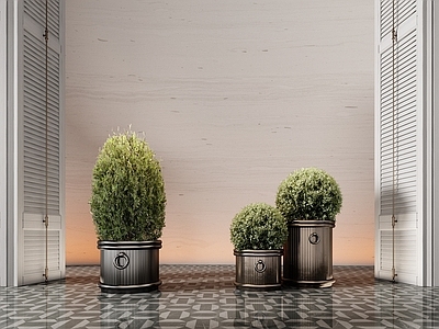 植物组合 绿植组合 现代酒店苔藓球 苔藓球 苔藓 盆栽