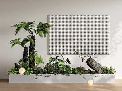 植物组合 花箱 室内景观 植物堆 蕨类盆栽 庭院小品