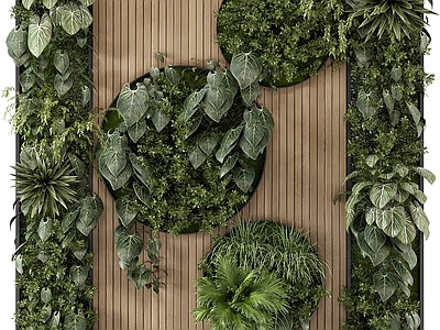 绿植墙