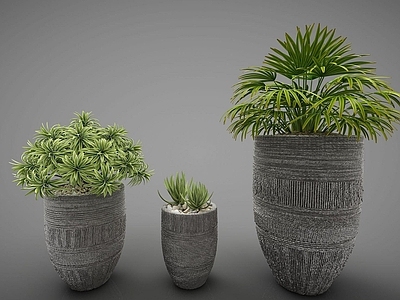 现代佛龛 装饰植物