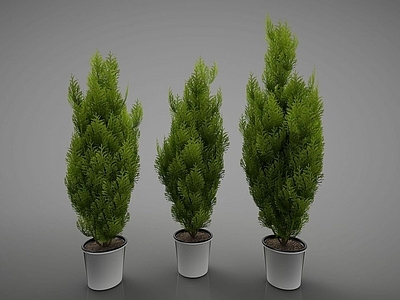 现代办公桌 现代绿色植物盆栽