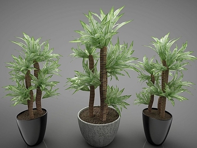 现代佛龛 绿色植物盆栽
