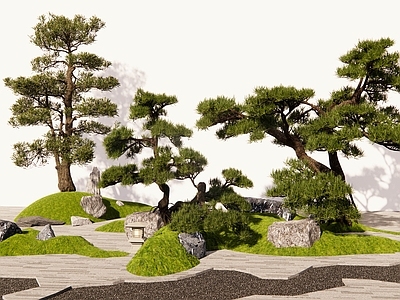 乔木 松树 造型松造型景观树 罗汉松 迎客松 黑松
