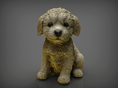 爬行类动物 狗 小狗 泰迪犬 茶杯犬 狮子狗