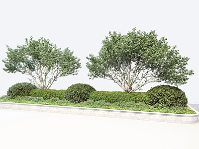 植物堆 花坛 灌木 景观植物 绿化 小树