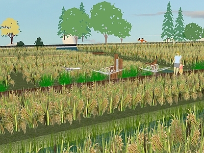 现代新中式乡村公园 稻田 乡村稻田景观 户外景观 共享稻田