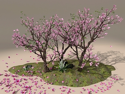 其他树木 桃树 桃花 花瓣
