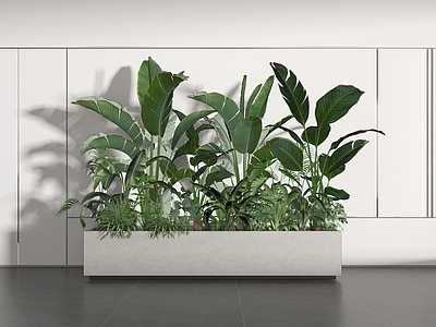 盆栽 盆栽 盆景 植物 绿植 植物组合