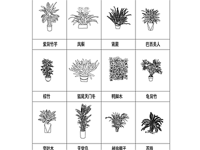 现代综合景观图库 室内植物立面 施工图