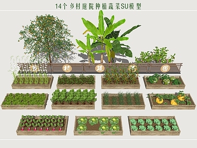 现代乡村庭院 菜园子 菜园菜地 蔬果园 种植池 乡村蔬菜园