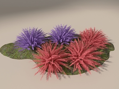 花草组合 景观花草