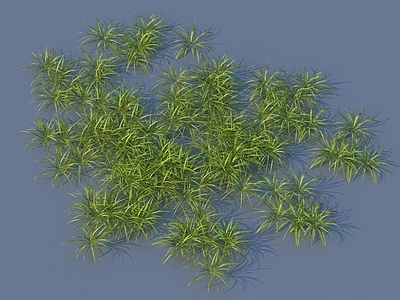 草 草 室外景观花