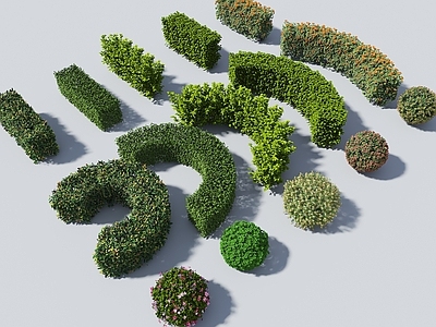 其他绿植 球形植被 球形植物 绿篱绿化带 植物组合 植物墙