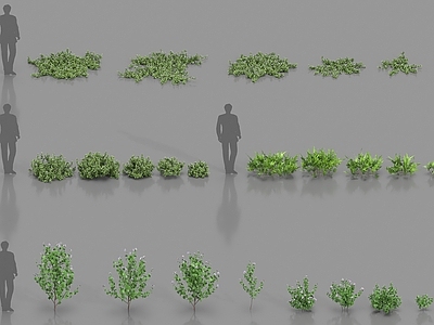 花草组合 现代植物 热带植物 花草树木