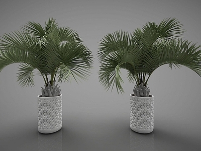 现代佛龛 现代风格植物