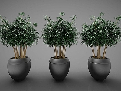 现代佛龛 现代风格植物