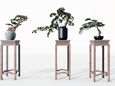 现代办公桌 植物