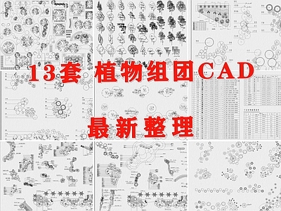 现代植物配置图库 植物组团 植物配置 植物图库 植物组合 绿植组团 施工图