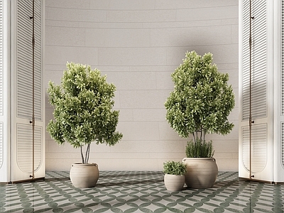 植物组合 盆栽组合 景观绿植 树木 苔藓 植物组合