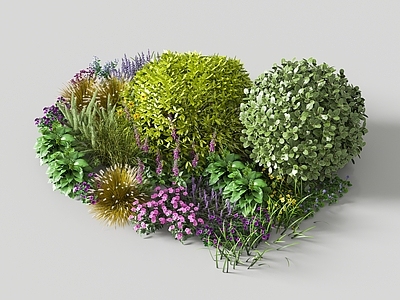 花草组合 庭院花草景观 植物堆 绿植花坛 灌木球 花池