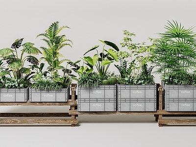 植物组合 盆栽组合 树池植物组合 工业盆栽