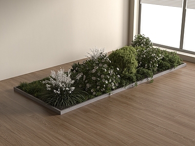 灌木 灌木 现代户外绿植灌木 花池