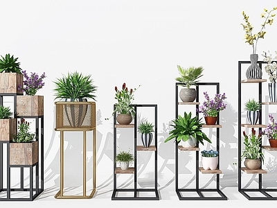现代佛龛 植物
