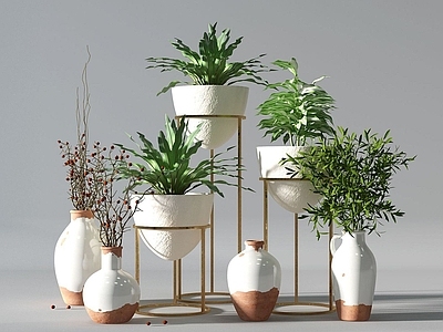 现代佛龛 植物