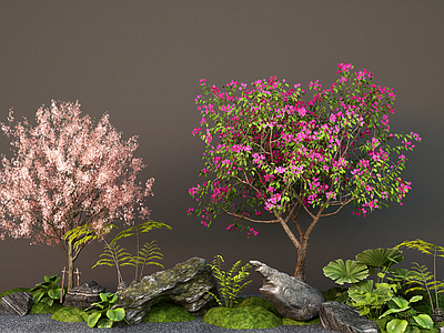 植物组合 现代景观树 樱花树 桃花树 梅花 庭院树