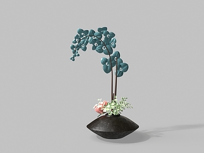 盆景 盆景 花卉 兰花 植物