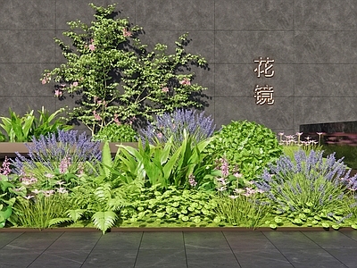 花草 花境 植物组合 灌木 藤蔓 花坛花草