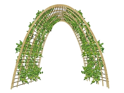 现代其他架子 拱门植物攀爬架