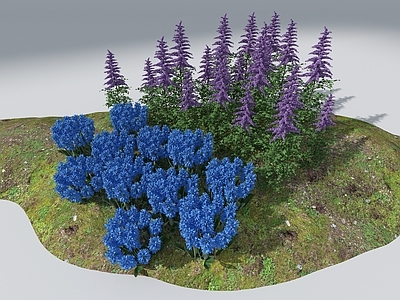 花草组合 景观花草