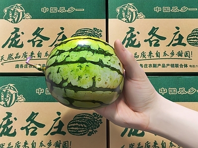 现代水果店 西瓜 小西瓜 庞各庄西瓜 西瓜包装 水果