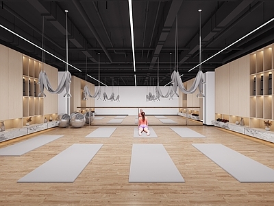 现代瑜伽室 瑜伽室