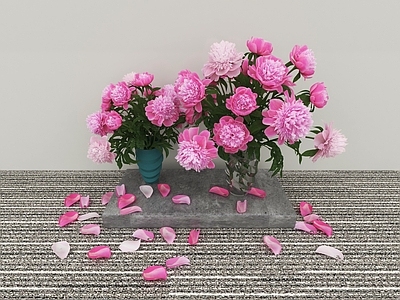 花草 牡丹花