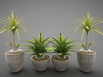 现代佛龛 现代风格植物
