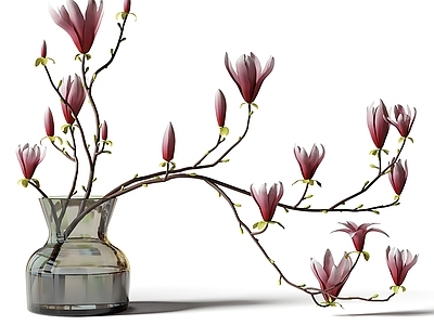 新中式现代花艺 花瓶 花艺 花束 玉兰