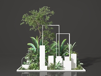 其他绿植 小景 景观植物 景观 植物组合 景观树