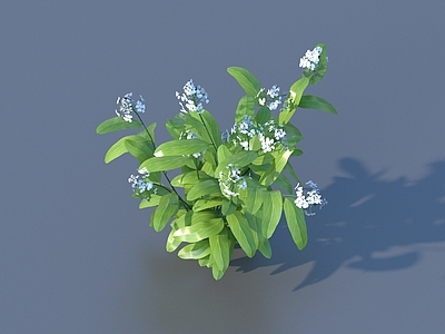 花草组合 花 野花 绿植