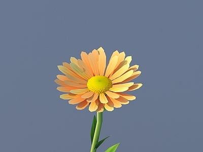 花草组合 花 野花 绿植