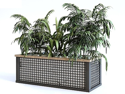 其他绿植 绿植箱