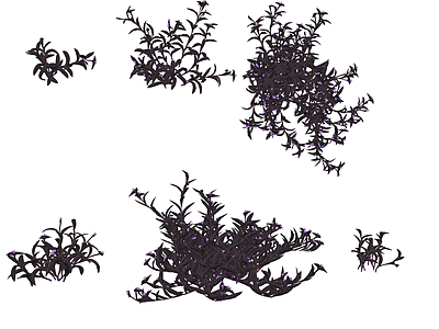 花草 花境 盆栽花草