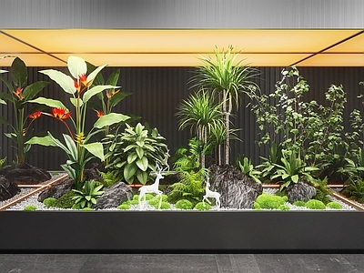 现代室内景观 现代景观造景 苔藓植物 室内景观