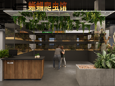 现代简约宠物店 蜥蜴 异宠 爬宠 爬宠缸 雨林缸