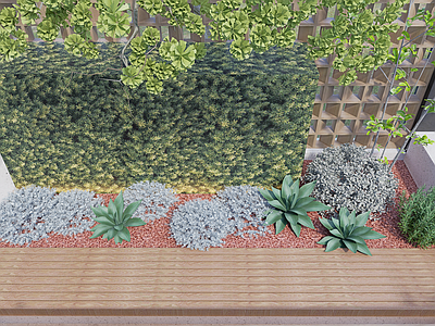 植物组合 树池植物组合 现代庭院小品 绿植 灌木 花池 芙蓉菊 龙舌兰