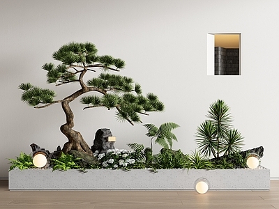 新中式室内景观 松树景观造景 庭院景观 庭院小品 迎客松 植物堆
