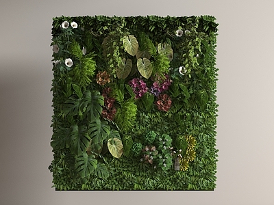 绿植墙 绿植墙 现代植物墙
