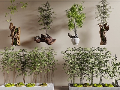 竹子 竹林 盆栽竹子 树池竹子 枯木绿植摆件 树桩